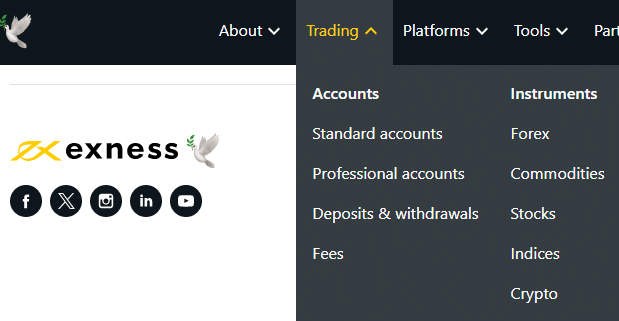 A Exness não tem a gama mais ampla de instrumentos financeiros