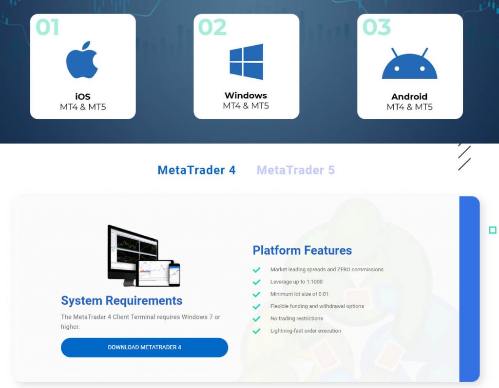 Bold Prime MetaTrader 4 and MT5