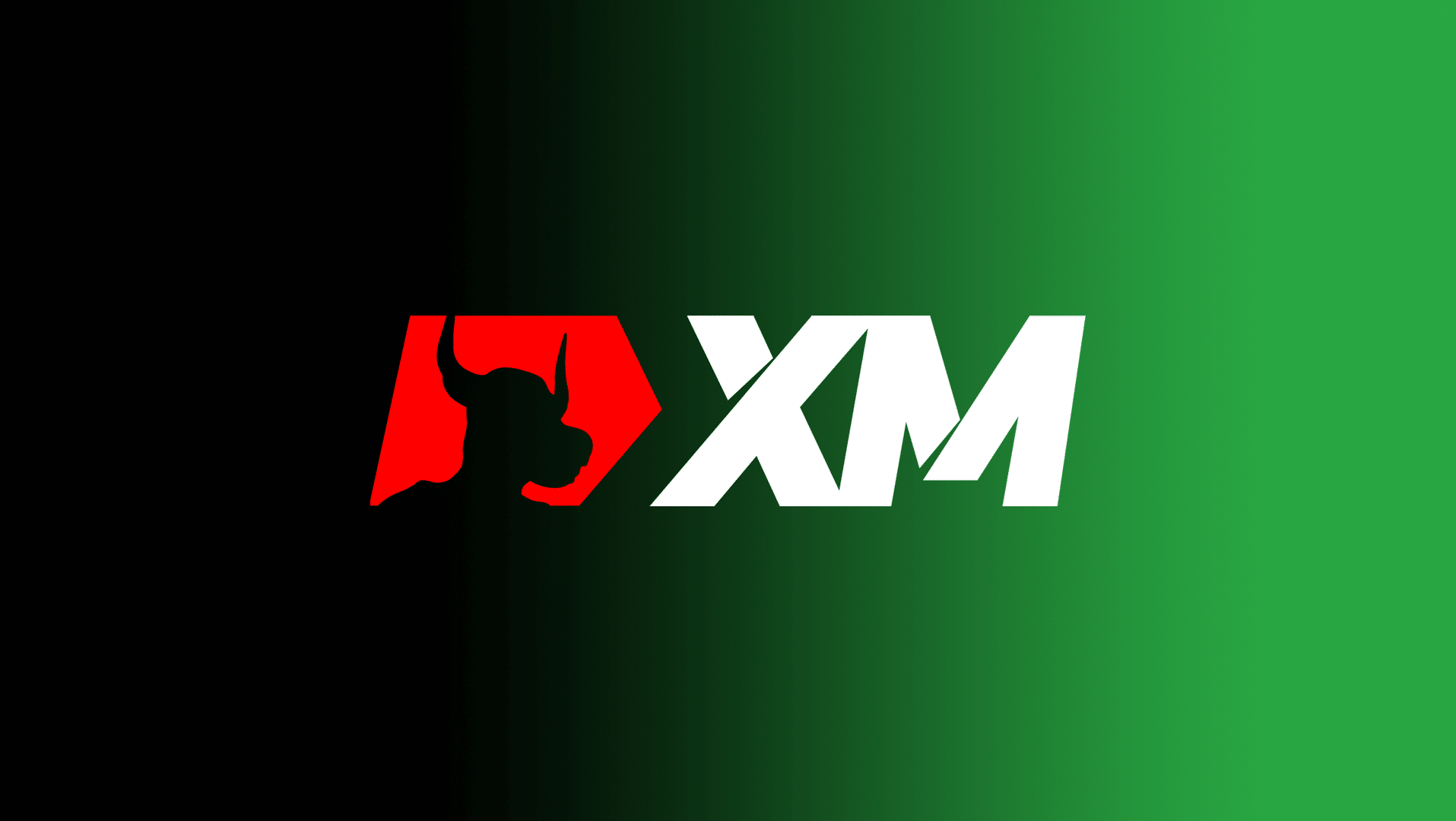 Mau Cari Broker? Nih Coba Cek Review Lengkap Broker XM 2025