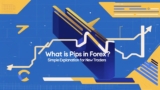 What is Pips in Forex? Simple Explanation for New Traders