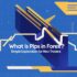 Pakistan Forex Reserves: Current Status, Trends, and Economic Impact in 2025