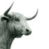How it Works: What is Spread Betting in Forex?